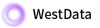 西部数据VPN WESTDATA 官网Logo